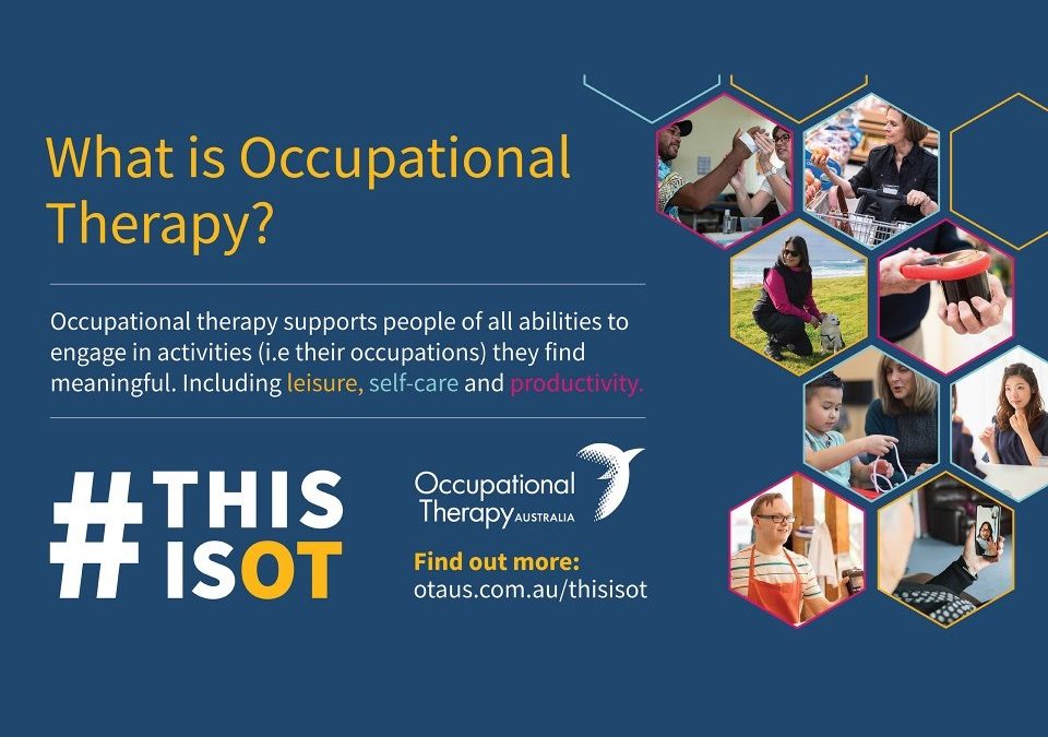 February 2023 Sanctuary Meeting – Occupational Therapy